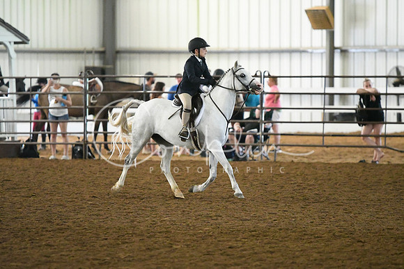 HSM_8026