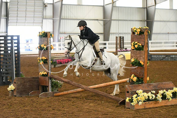 HSM_8095