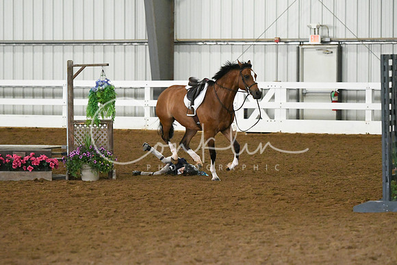 HSM_6073