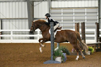 HSM_6019