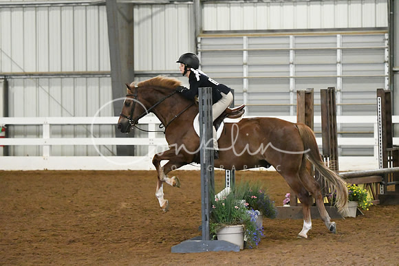 HSM_6019