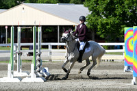 HSM_2156