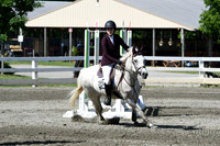 HSM_2163