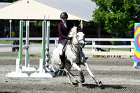 HSM_2166