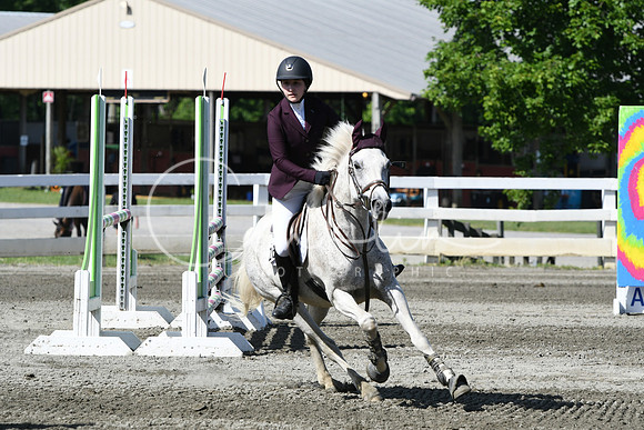 HSM_2166