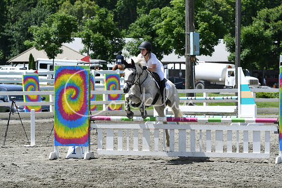 HSM_2625