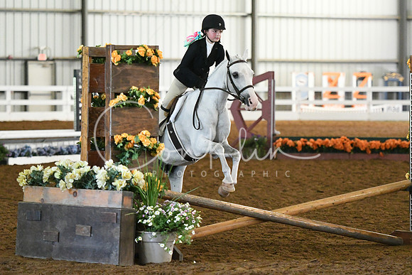 HSM_8226