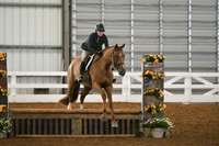 HSM_7223