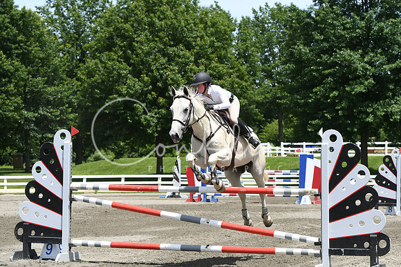 HSM_3134