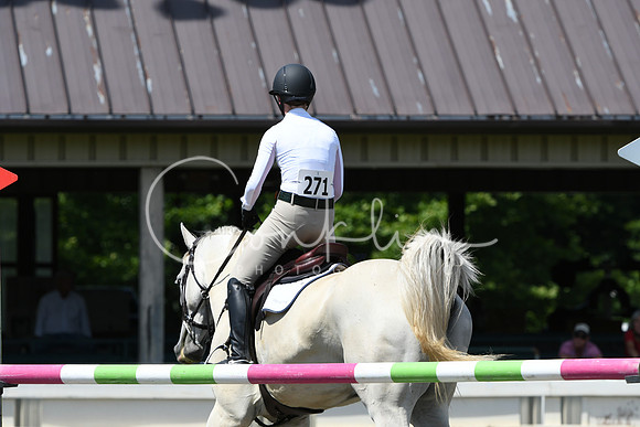 HSM_3382