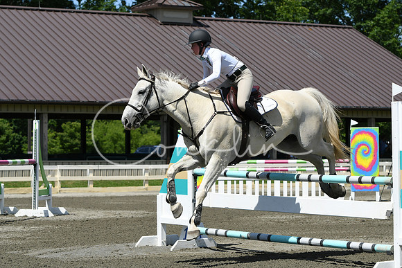 HSM_3413