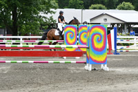 HSM_5176