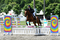 HSM_2603