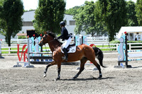 HSM_2606