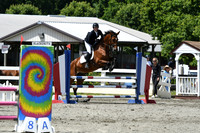 HSM_2610