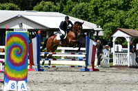 HSM_2611