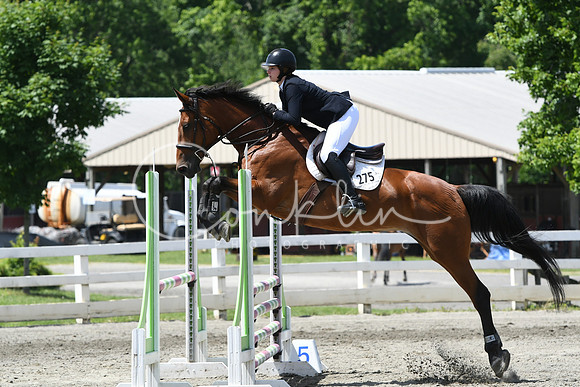 HSM_2613