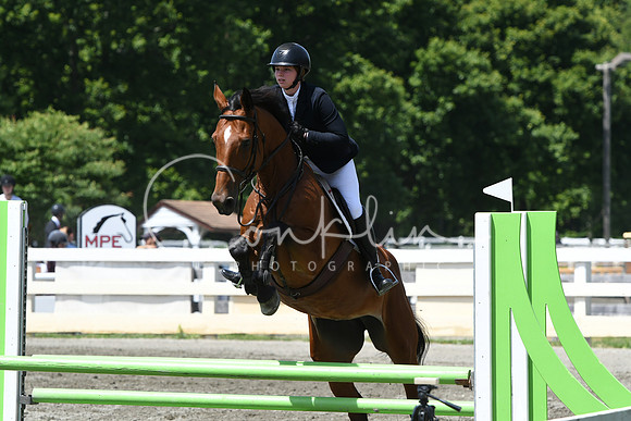 HSM_2619