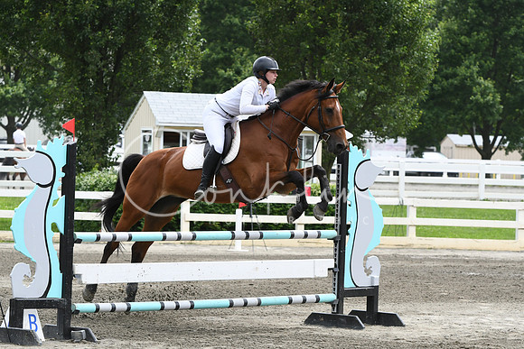 HSM_5195