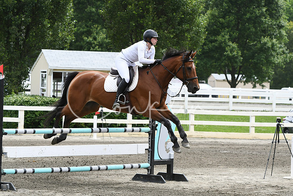 HSM_5196