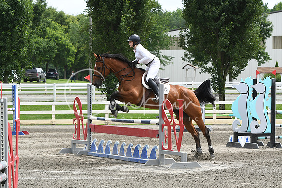 HSM_5197
