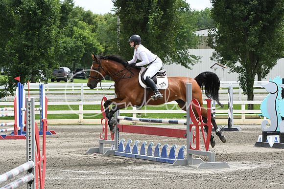HSM_5198