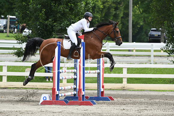 HSM_5202