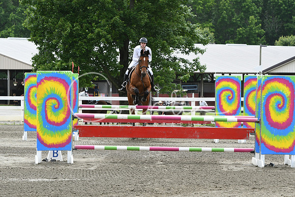 HSM_5207