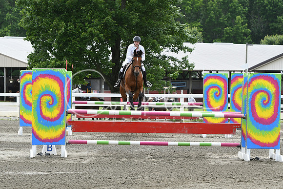 HSM_5208