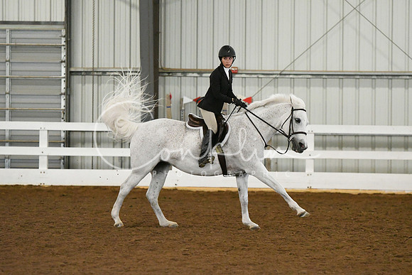 HSM_6908