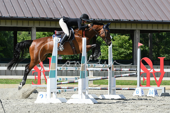 HSM_0071