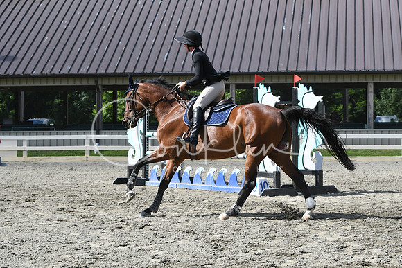 HSM_0091