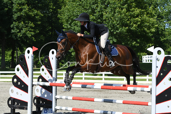 HSM_0163