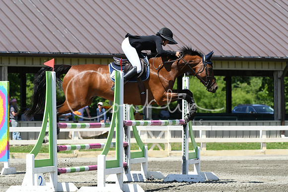 HSM_3503