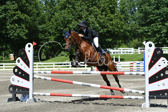 HSM_3513