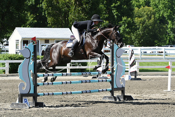 HSM_2190