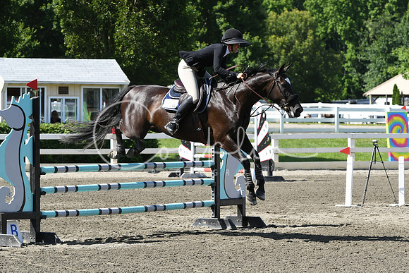 HSM_2191