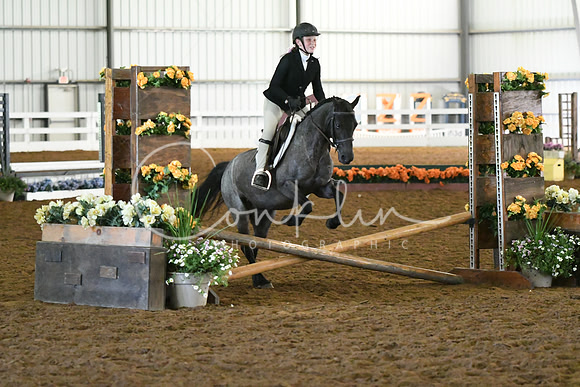 HSM_8195