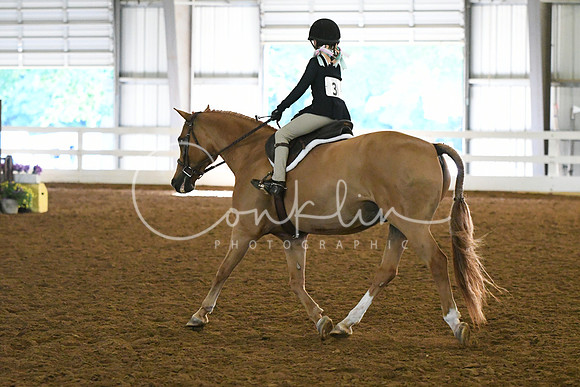 HSM_8385