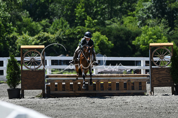 HSM_1278