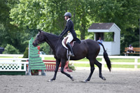 KCM_6013