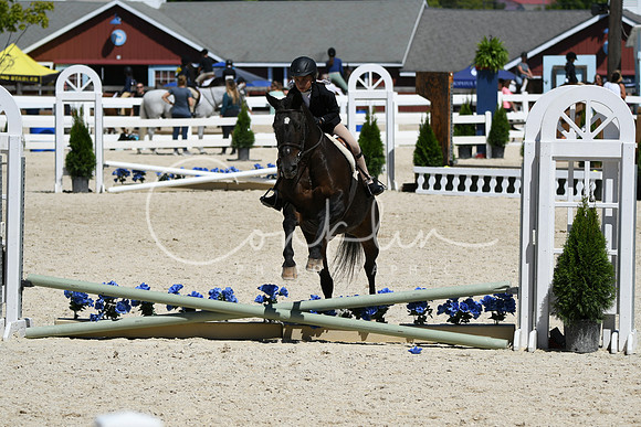 HSM_3190