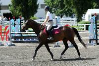 HSM_2501