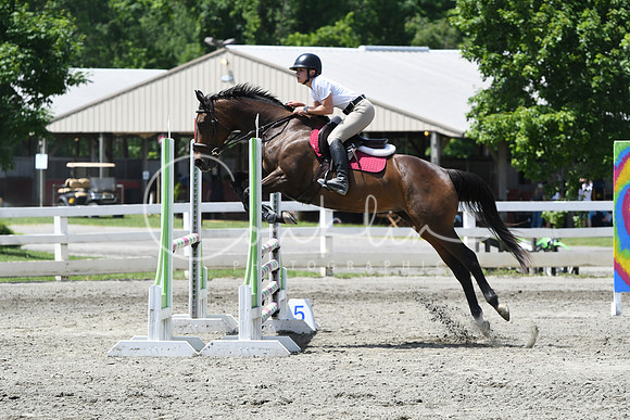 HSM_2786