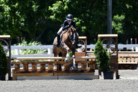 HSM_0966