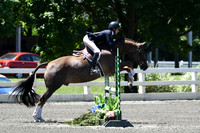 HSM_0967