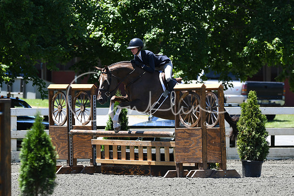 HSM_0971