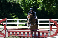 HSM_0973