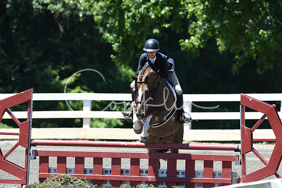 HSM_0973