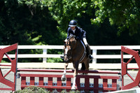 HSM_0974